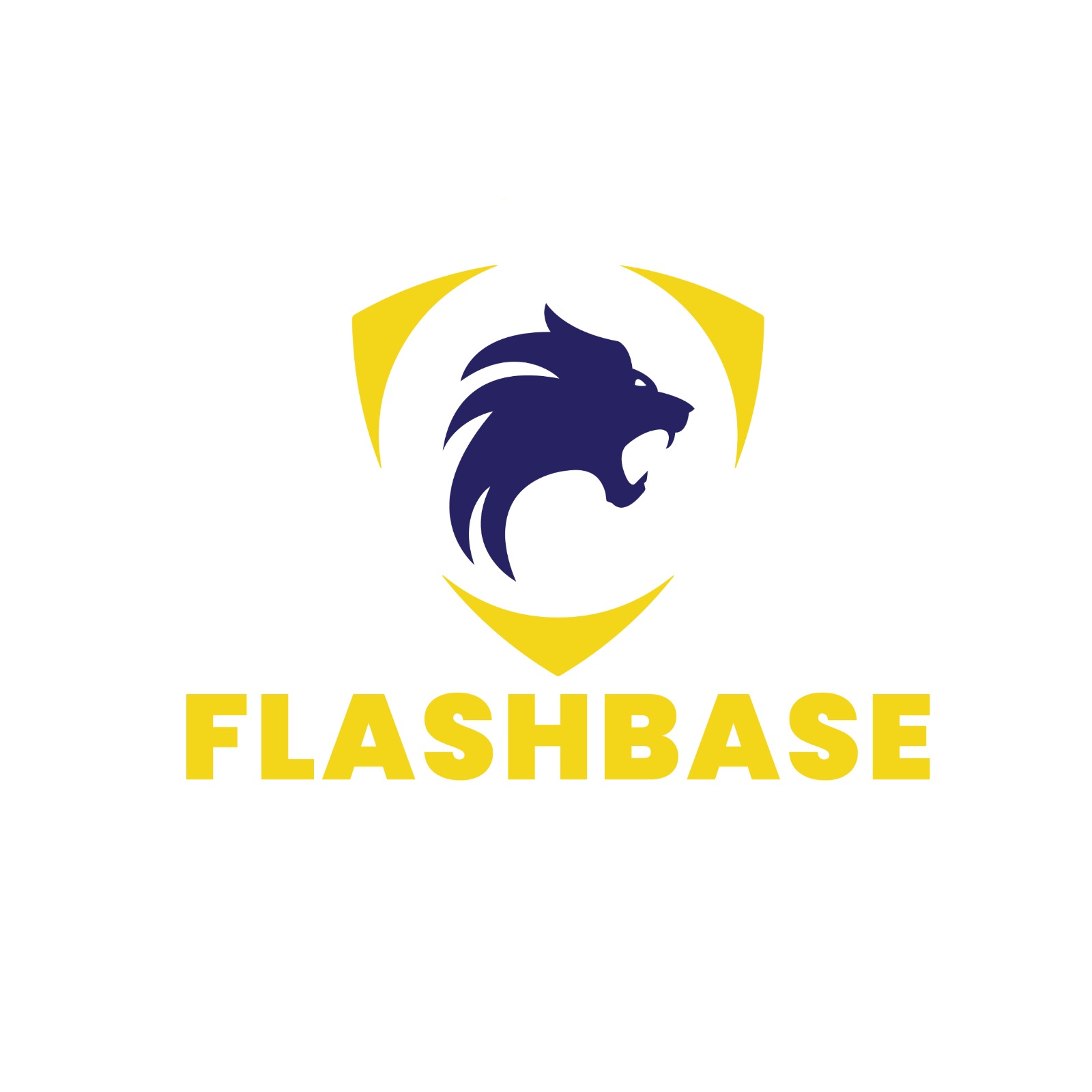 FLASHBASE SECURITY SERVICES LTD logo